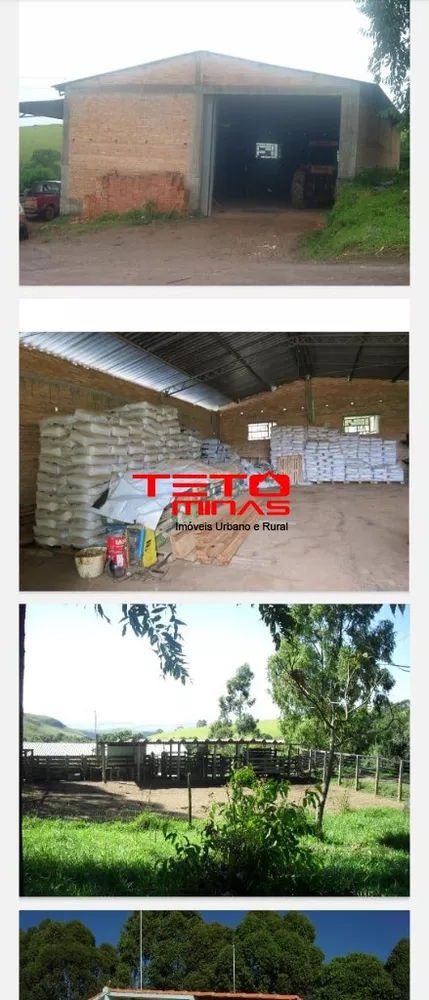 Fazenda - Foto 1