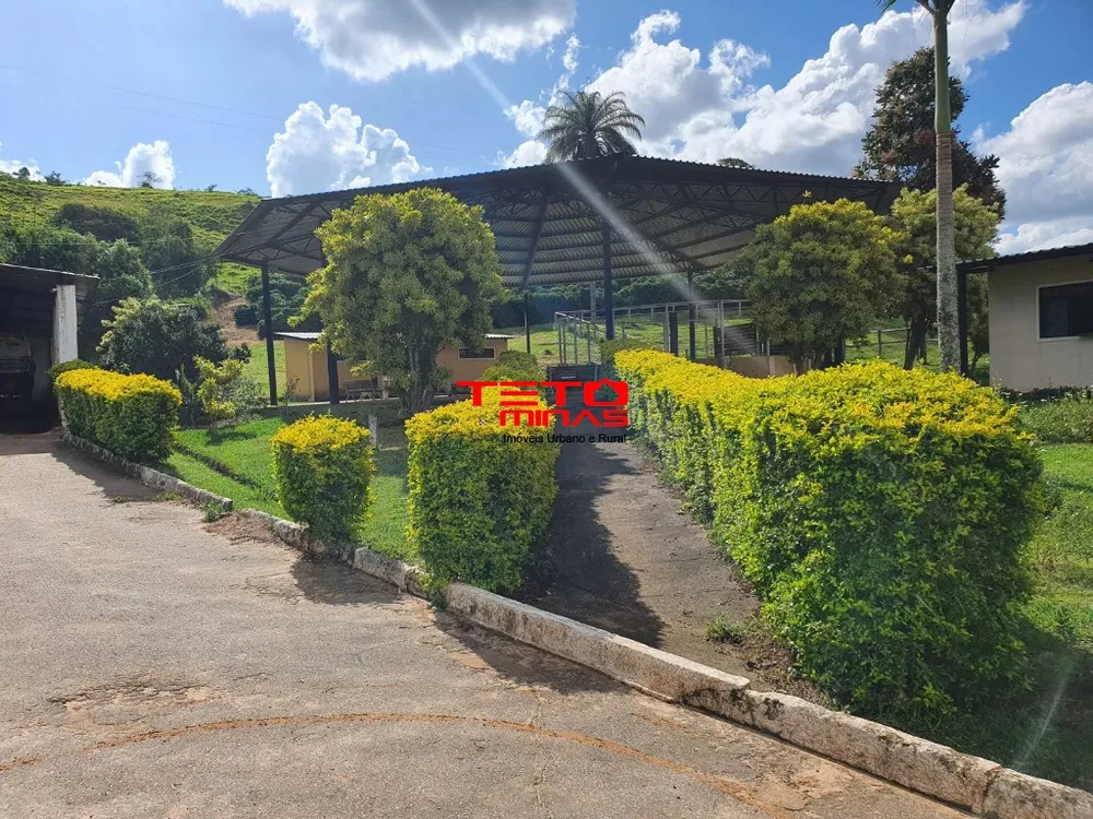 Fazenda - Foto 10