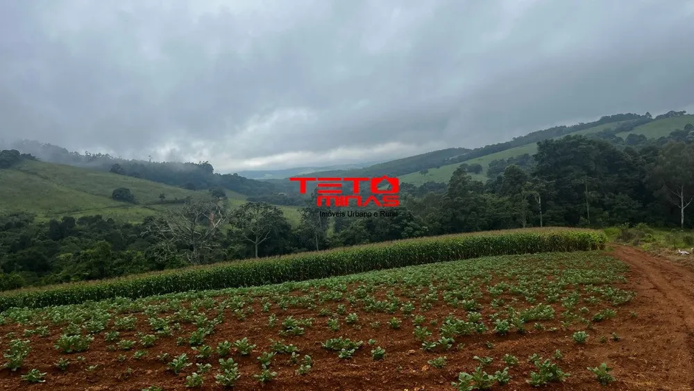Fazenda - Foto 15