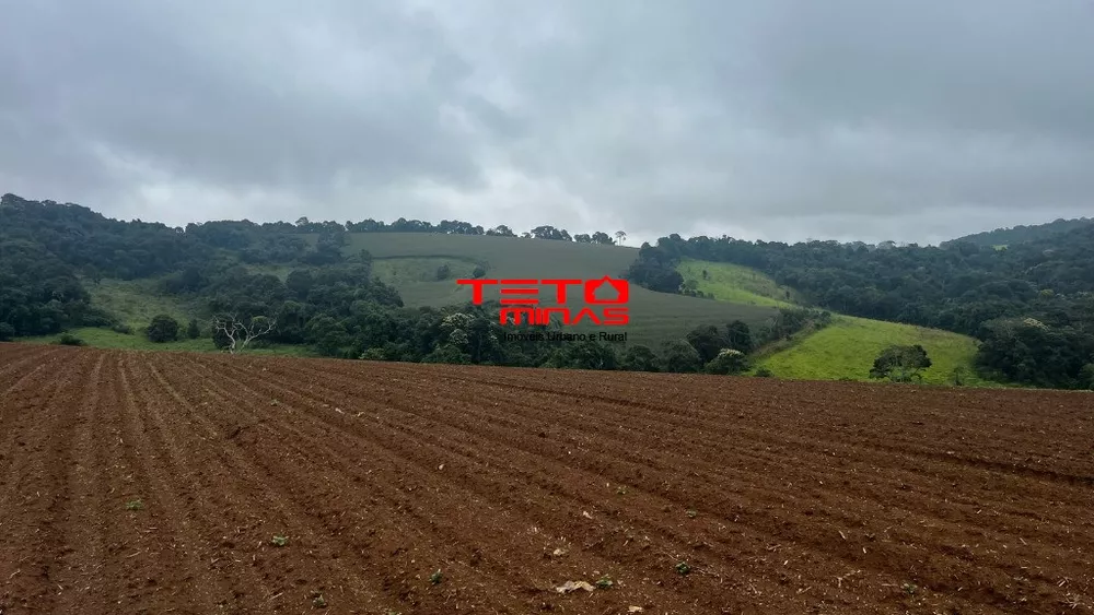 Fazenda - Foto 4