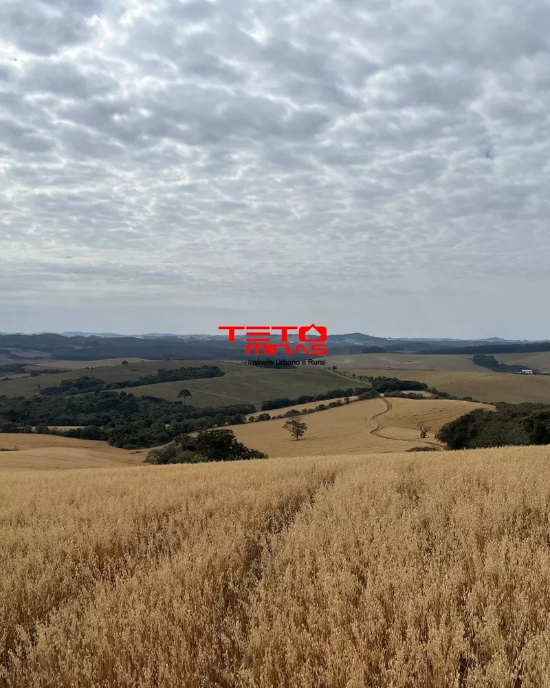 Fazenda - Foto 3