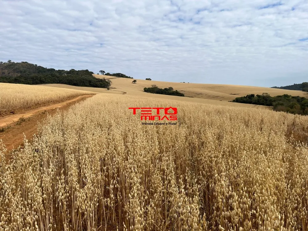 Fazenda - Foto 11