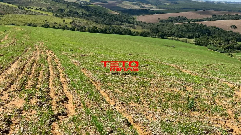 Fazenda - Foto 5