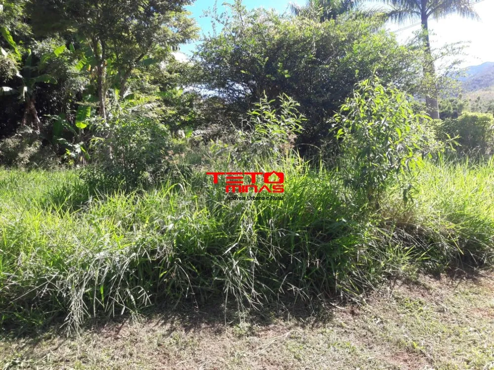 Sítio - Foto 12