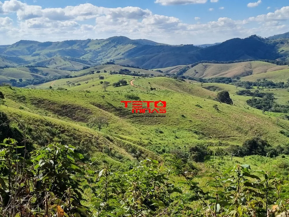 Fazenda - Foto 4