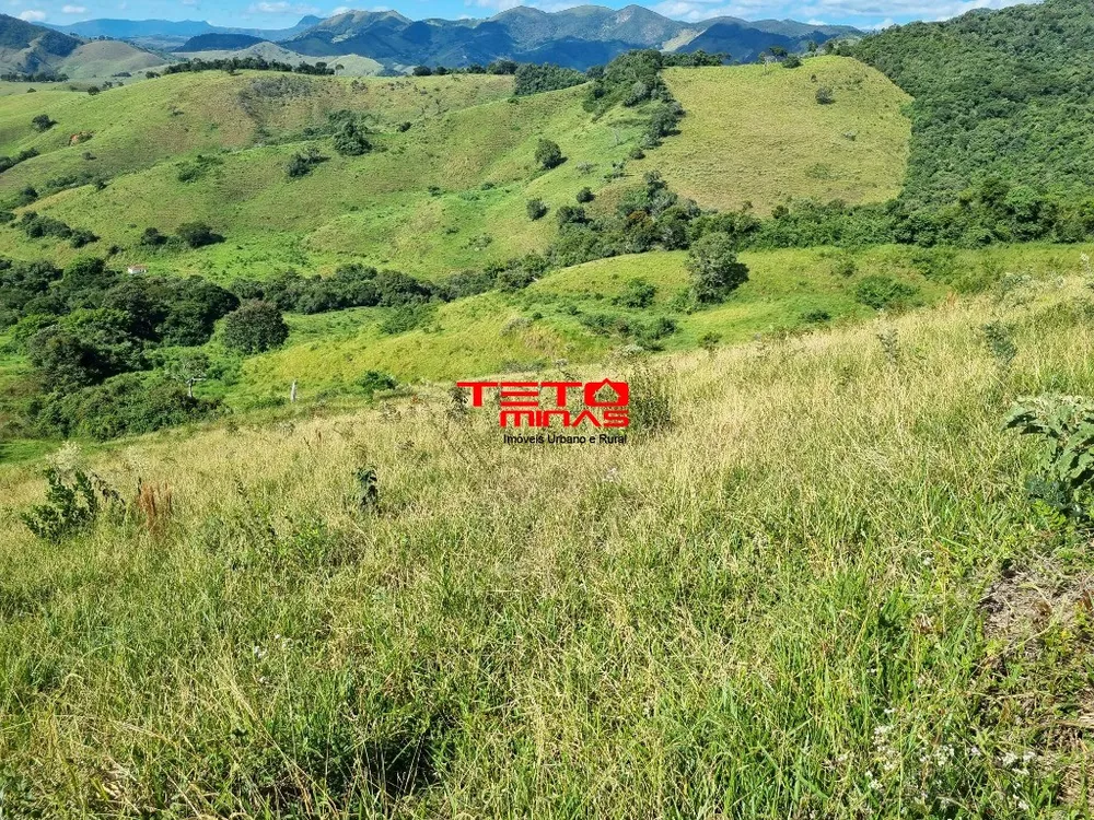 Fazenda - Foto 15