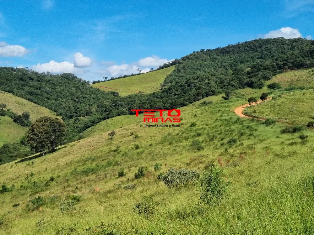 Fazenda - Foto 8