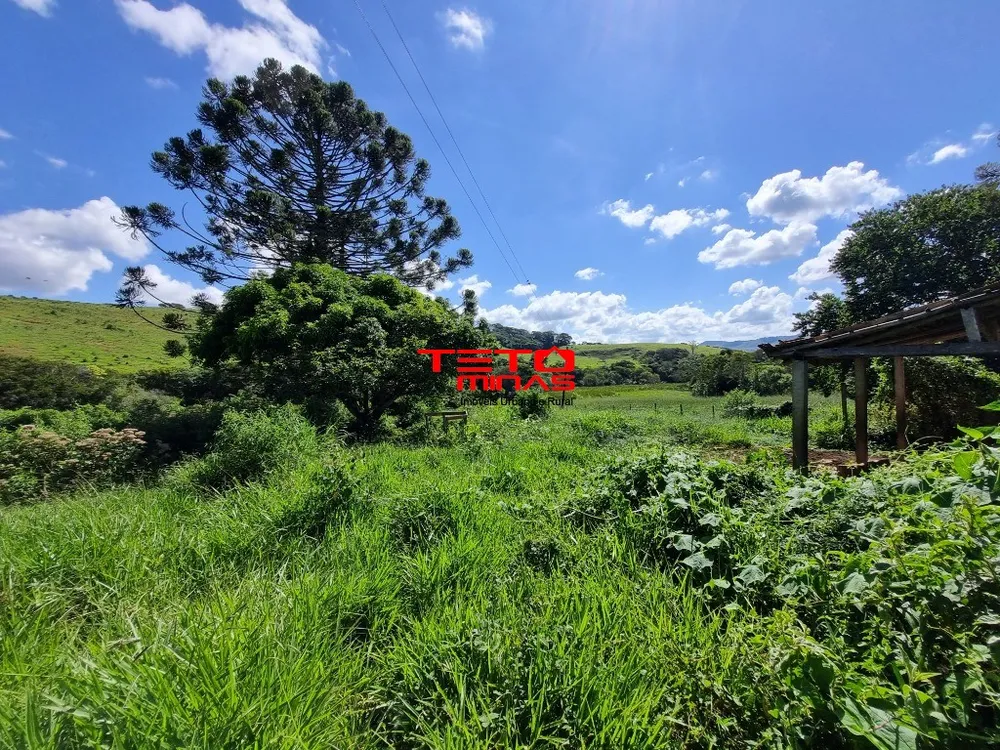 Fazenda - Foto 5