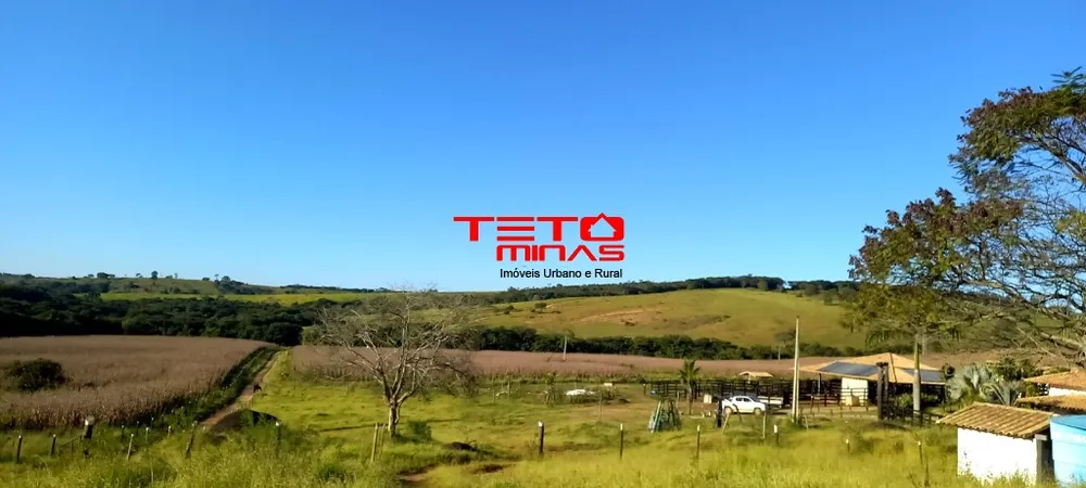 Fazenda - Foto 11