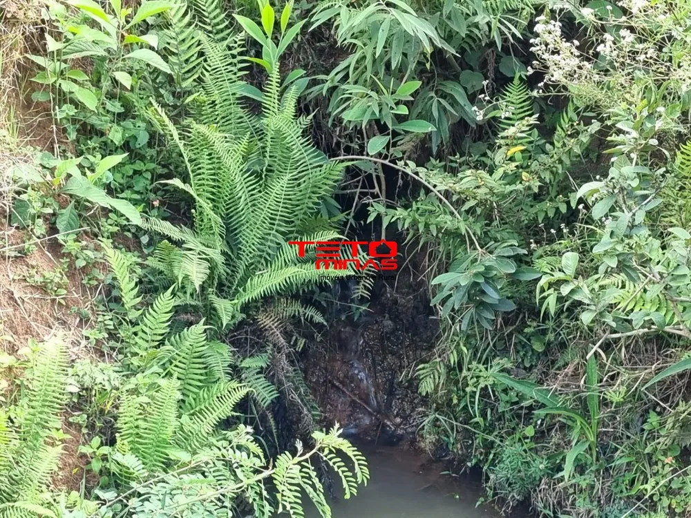 Chácara - Foto 7