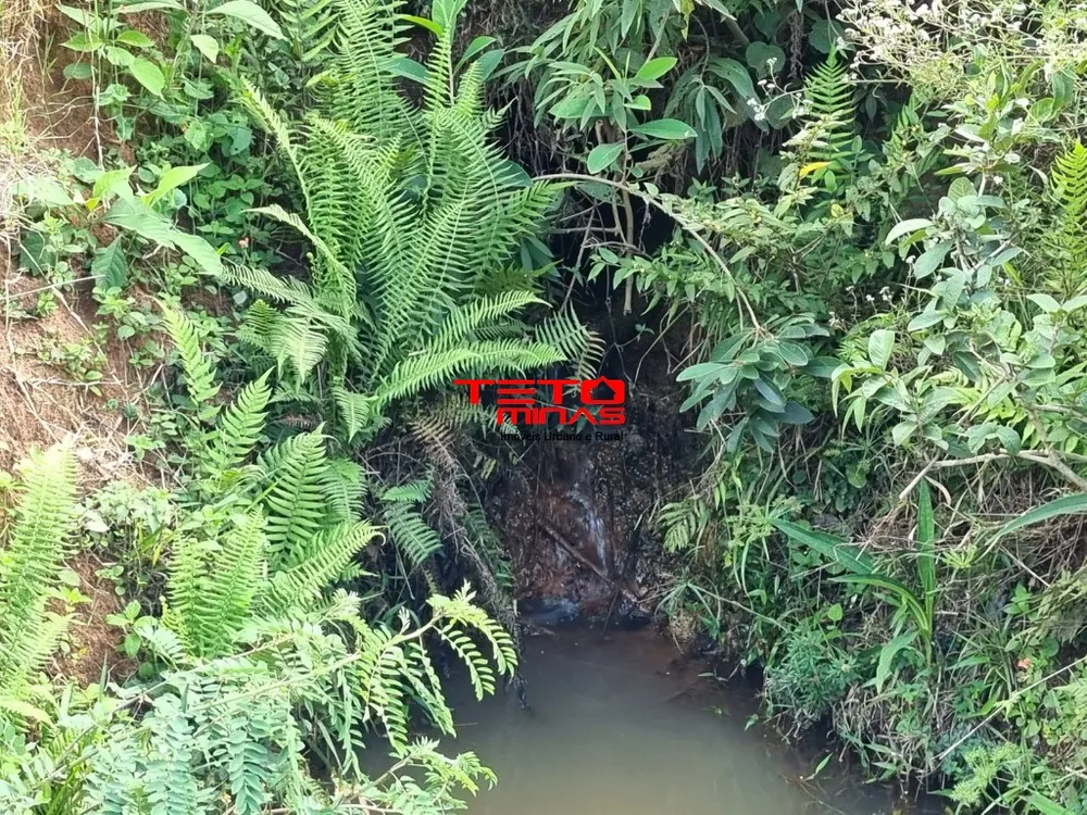 Chácara - Foto 13