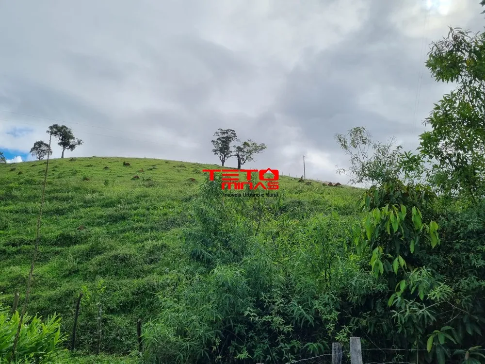 Chácara - Foto 8