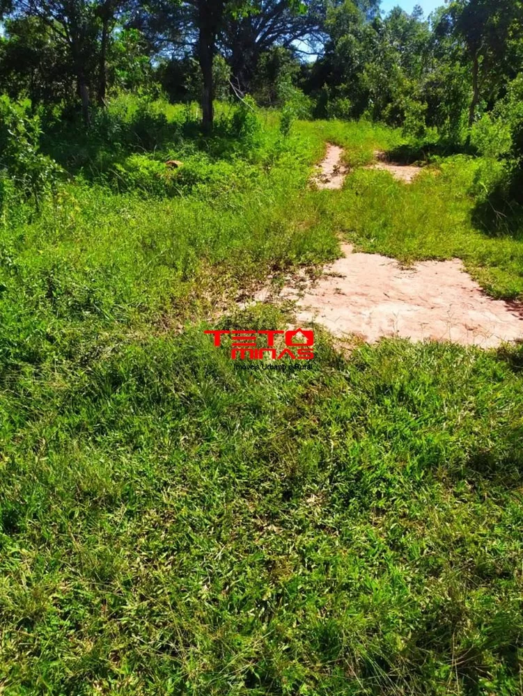 Fazenda - Foto 4