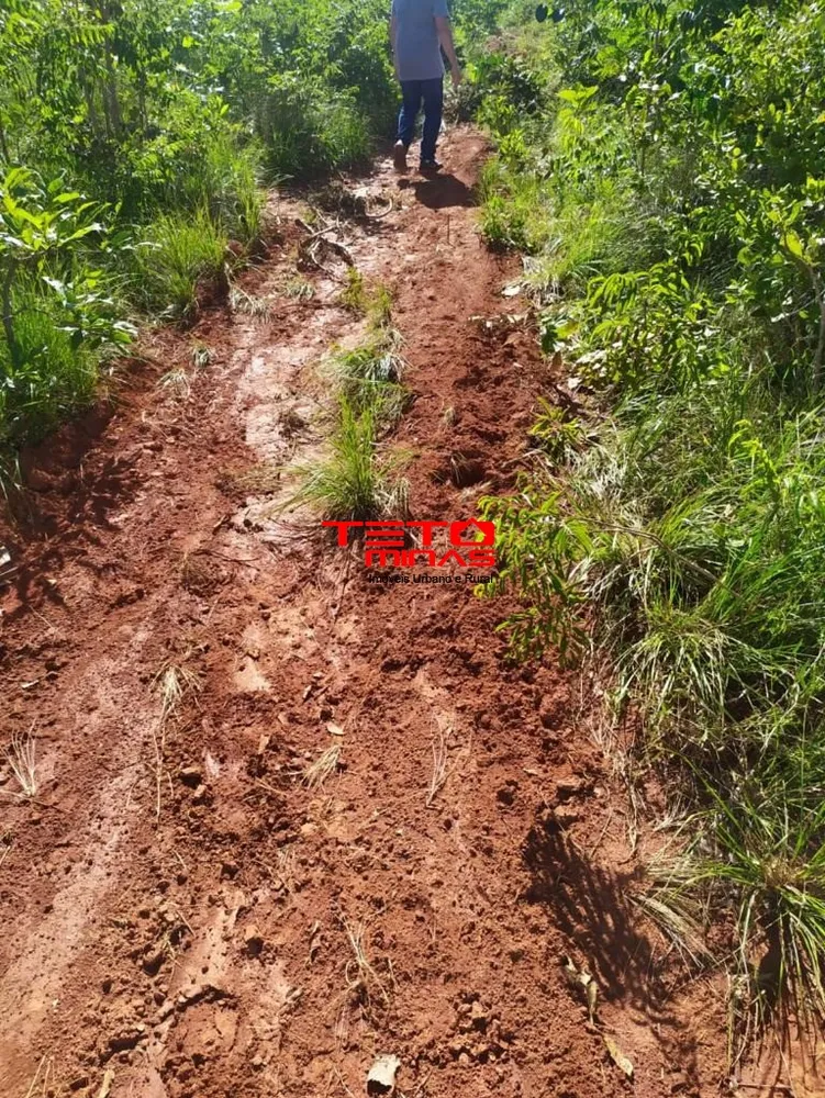 Fazenda - Foto 12