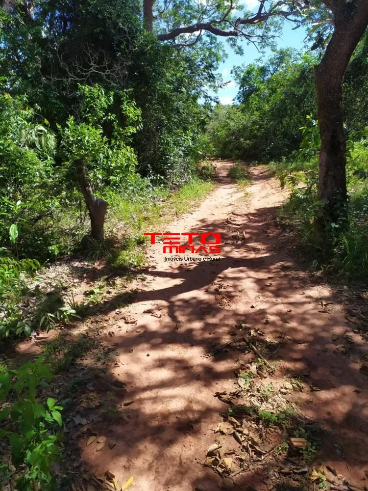 Fazenda - Foto 16