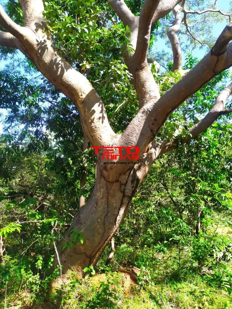 Fazenda - Foto 2