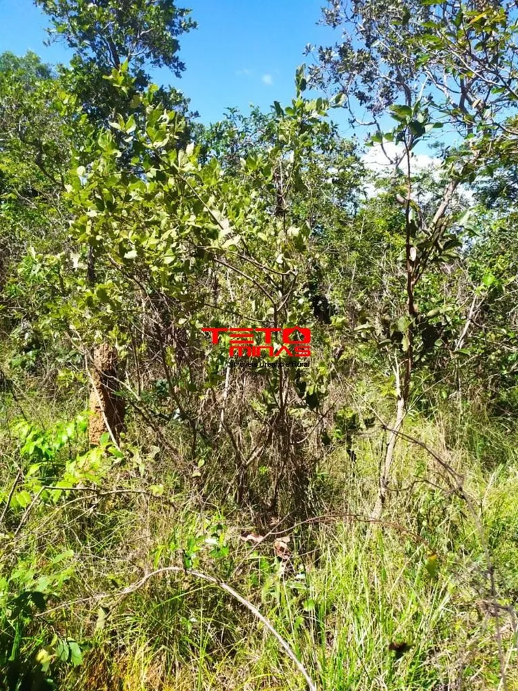 Fazenda - Foto 1