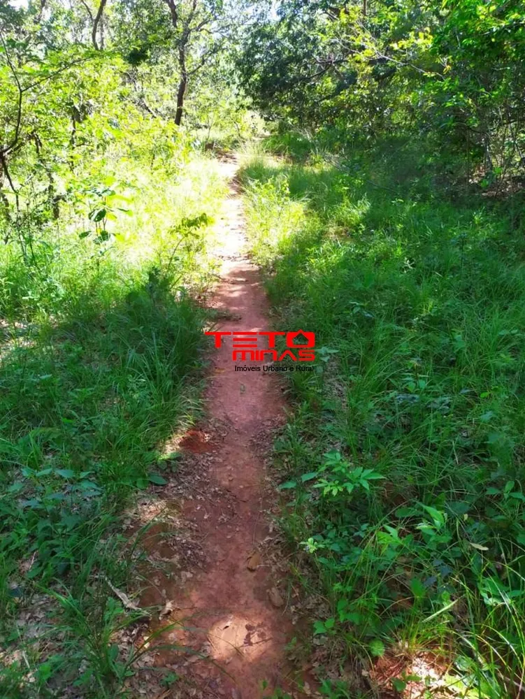 Fazenda - Foto 4