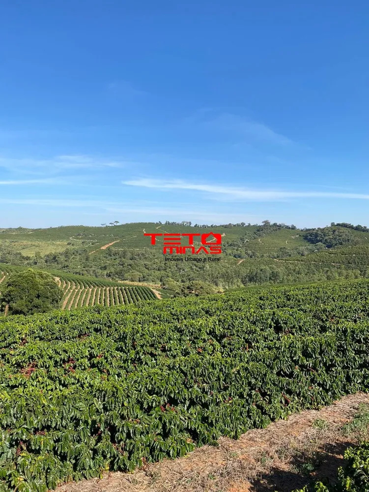 Fazenda - Foto 15