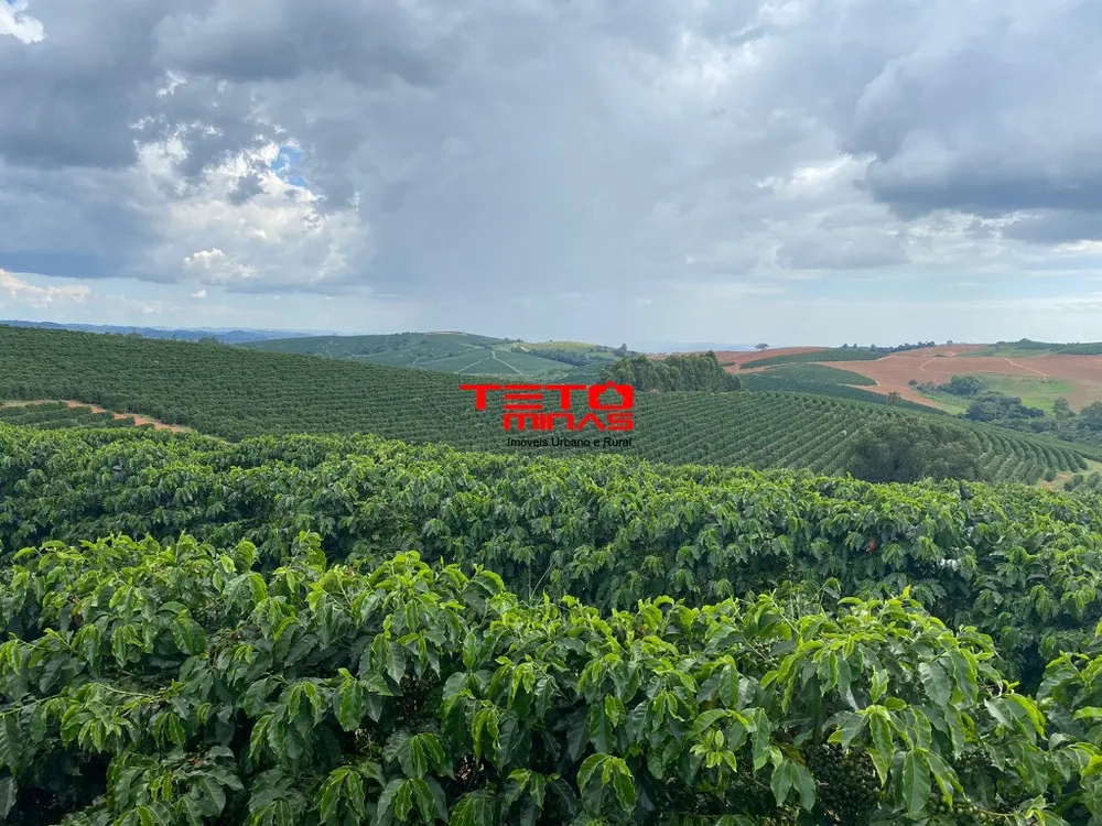 Fazenda - Foto 4