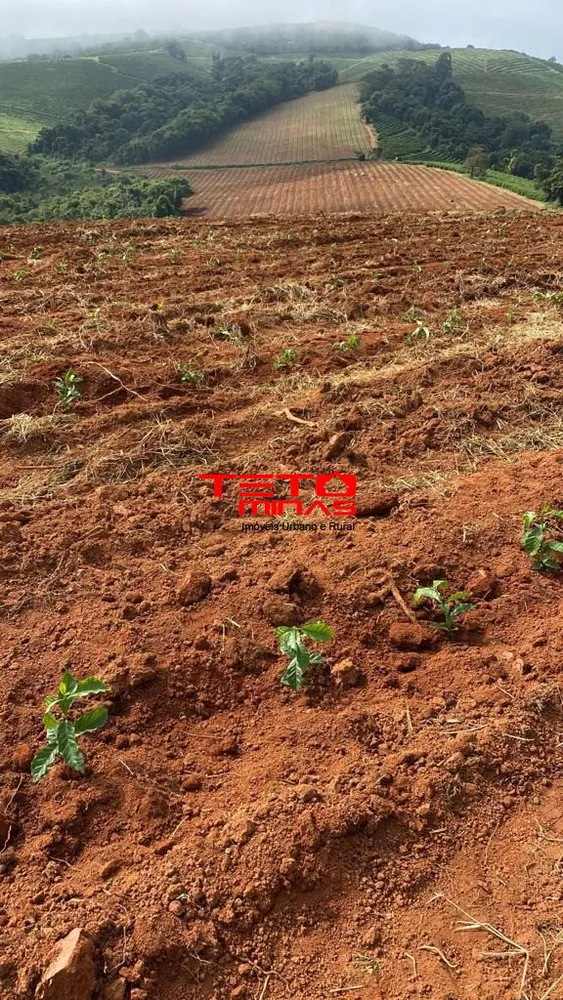 Fazenda - Foto 13