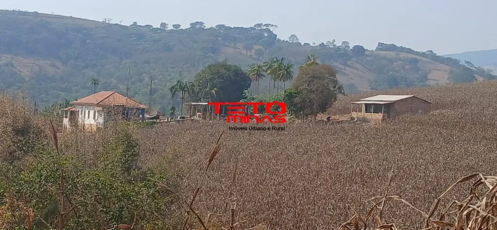 Fazenda, 4 quartos - Foto 5