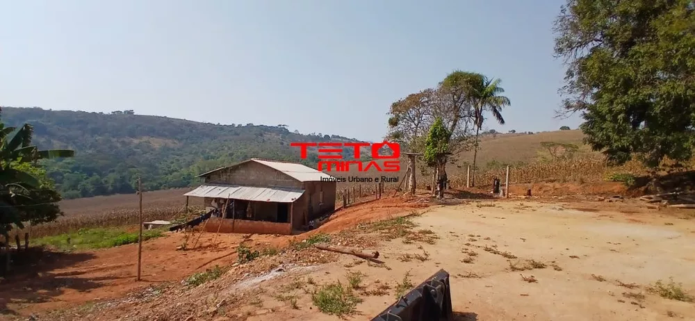 Fazenda, 4 quartos - Foto 4
