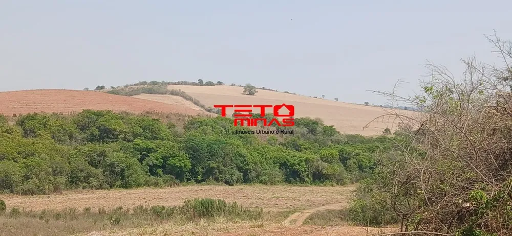 Fazenda, 4 quartos - Foto 8