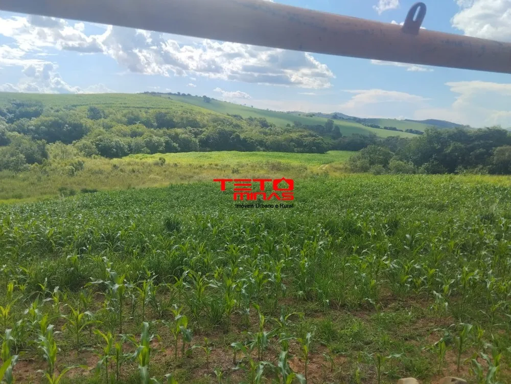 Fazenda, 4 quartos - Foto 20