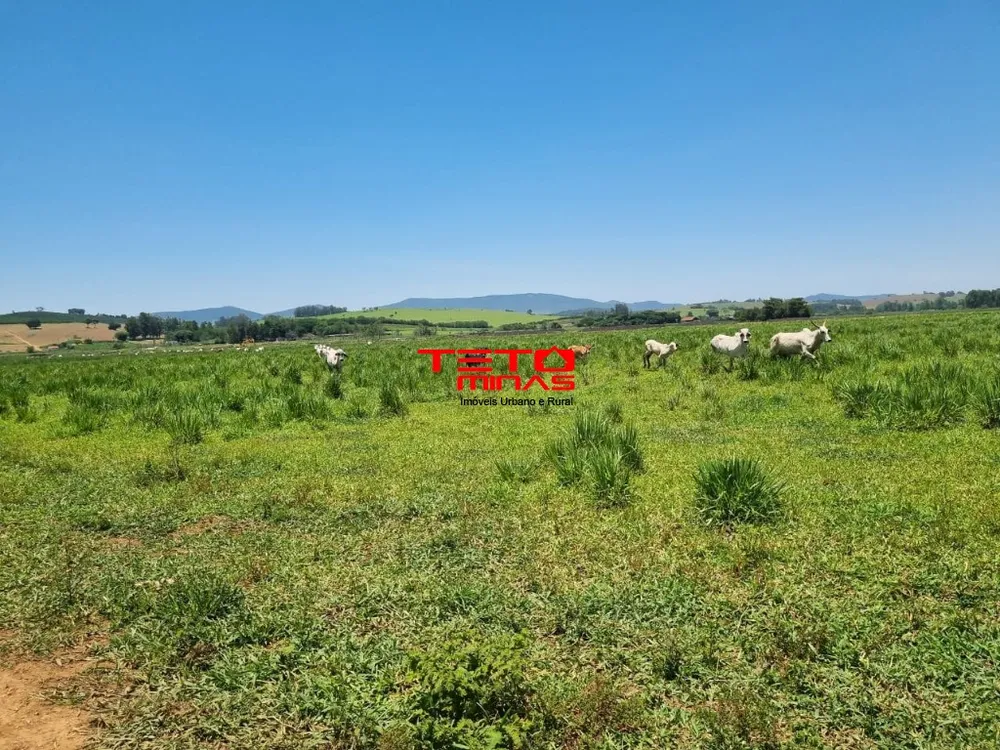 Sítio, 175 m² - Foto 5