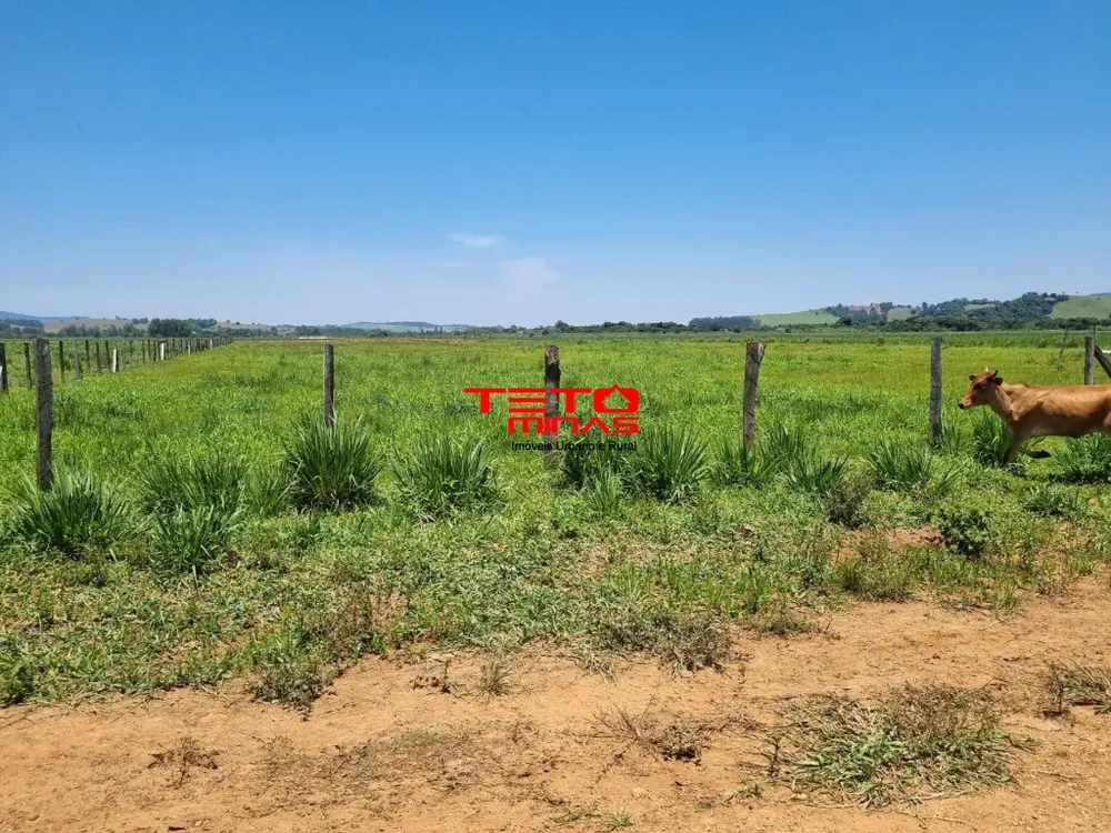 Fazenda - Foto 10
