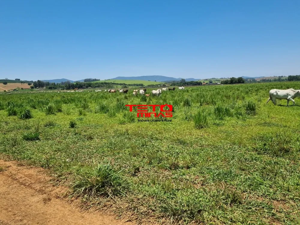 Fazenda - Foto 6