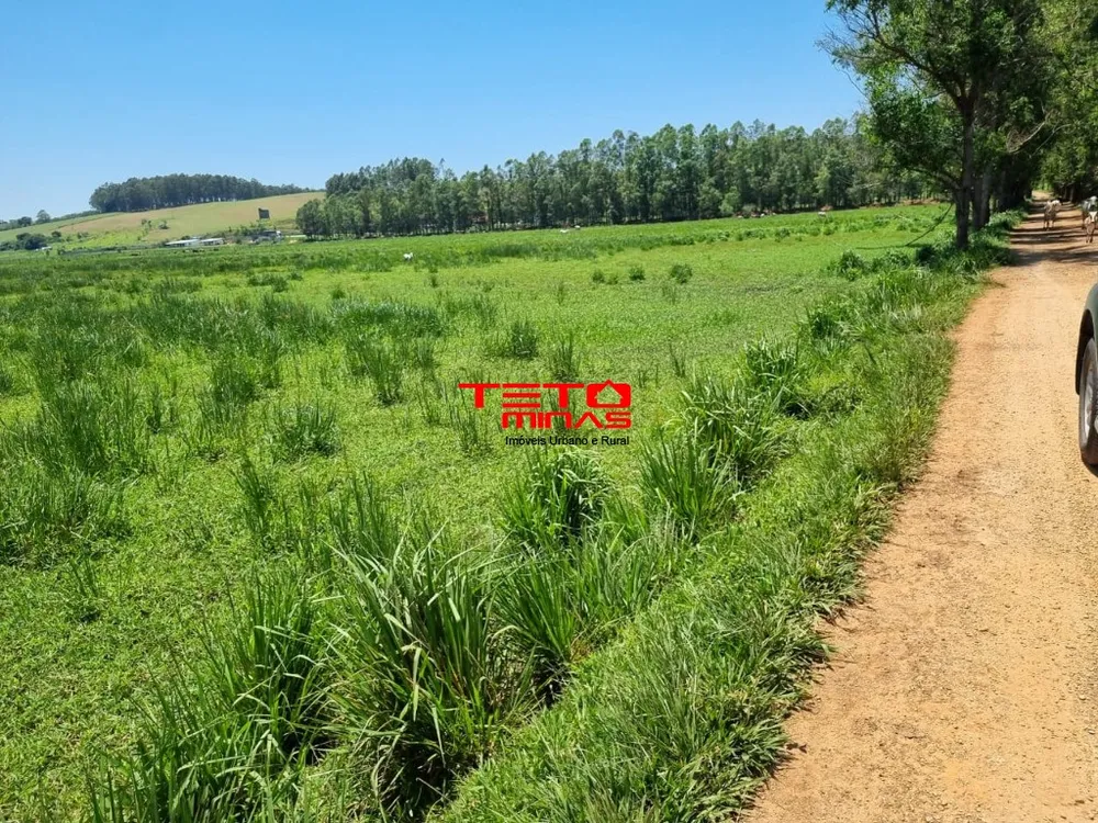 Fazenda - Foto 12