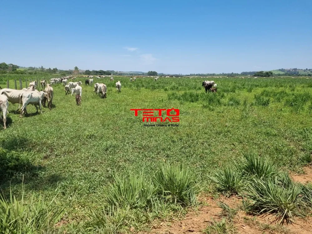 Fazenda - Foto 13