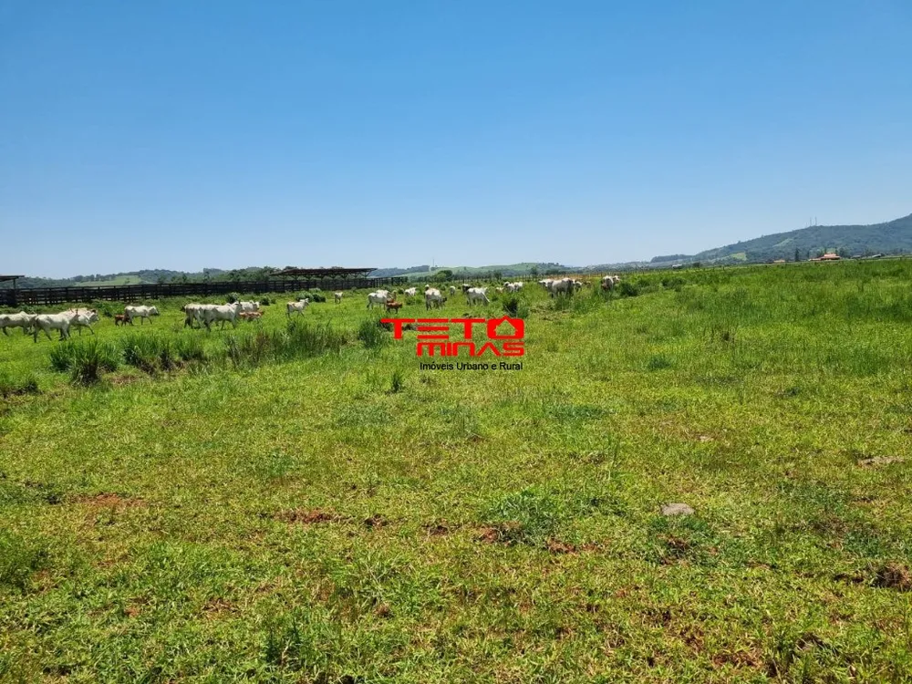 Fazenda - Foto 3