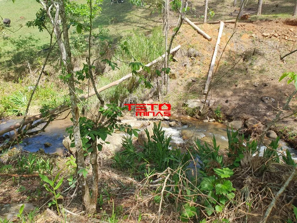 Sítio - Foto 4
