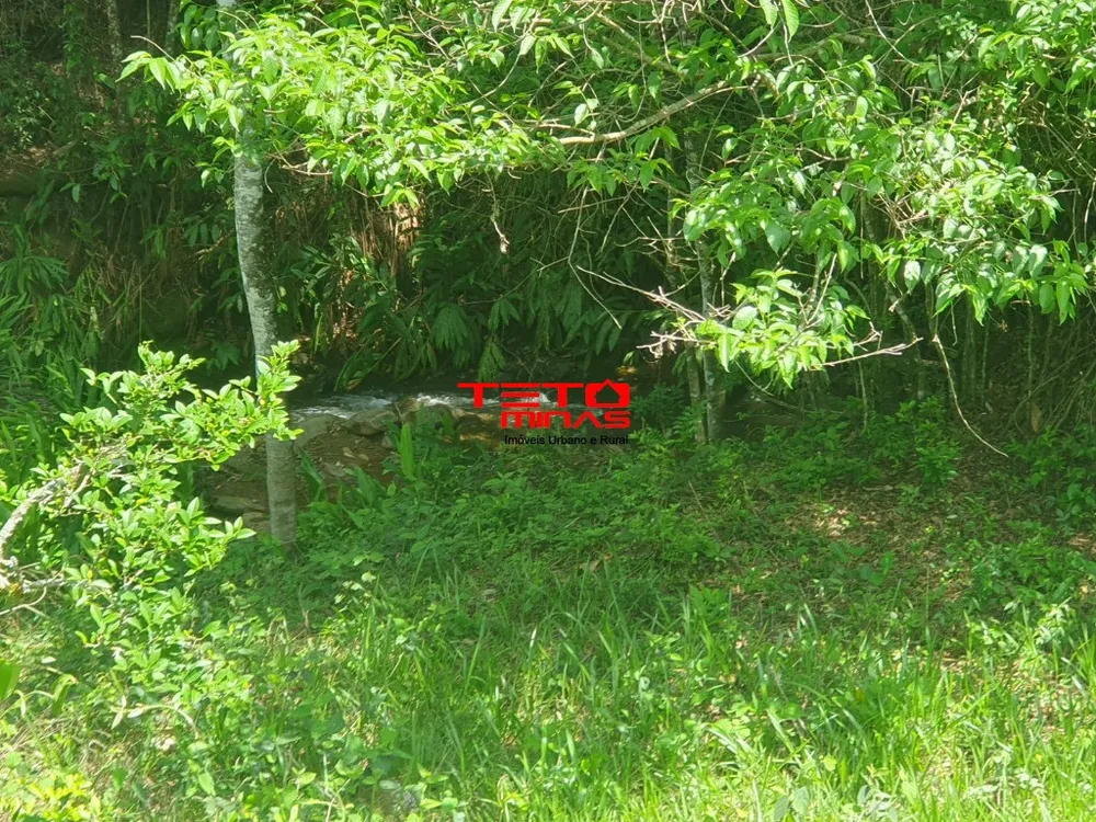 Sítio - Foto 15