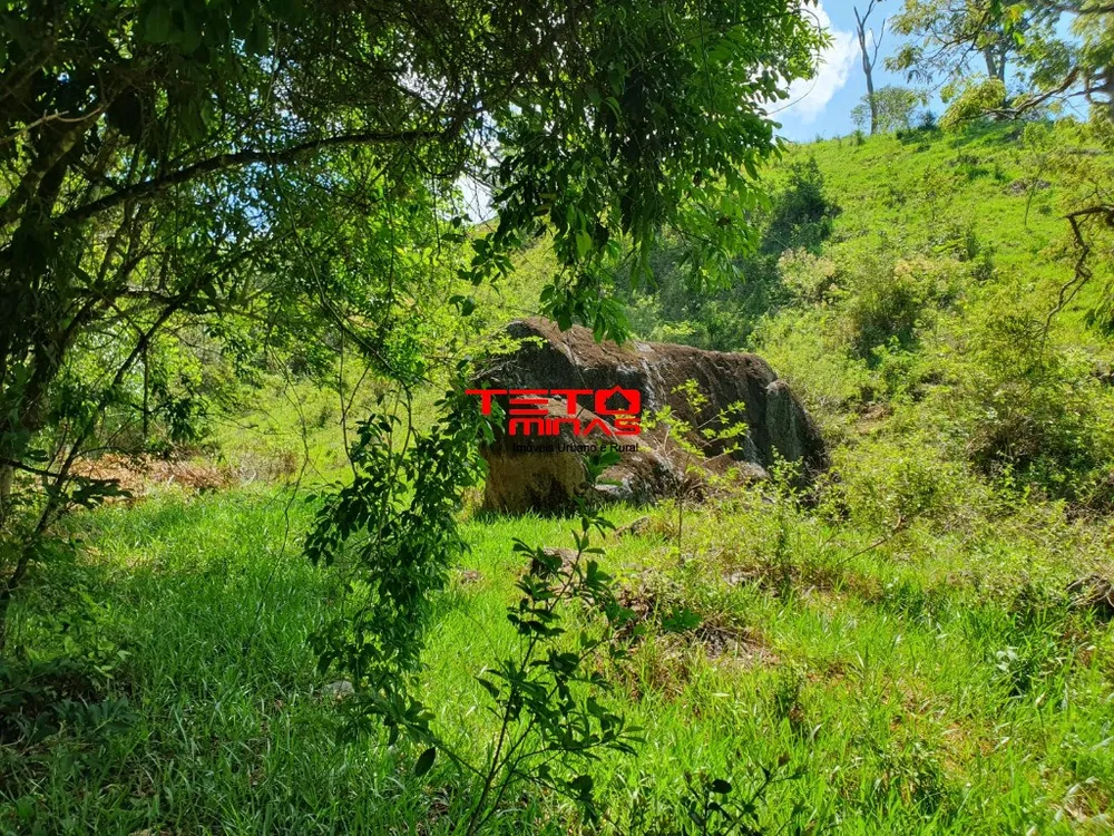Sítio - Foto 6