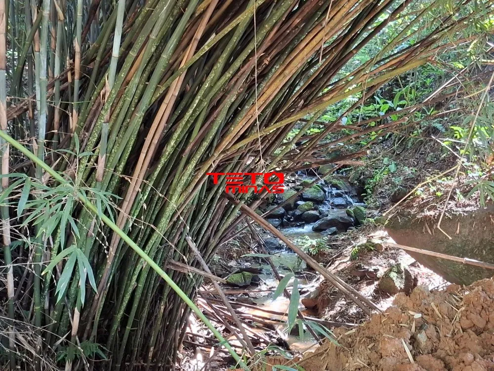 Chácara - Foto 8