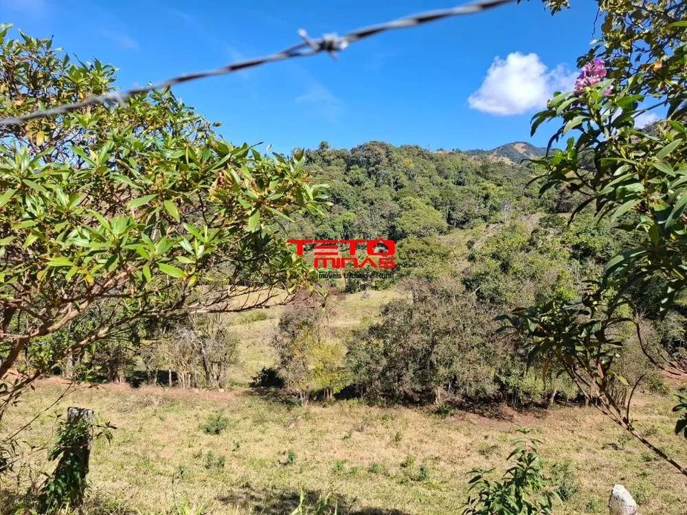 Chácara - Foto 3