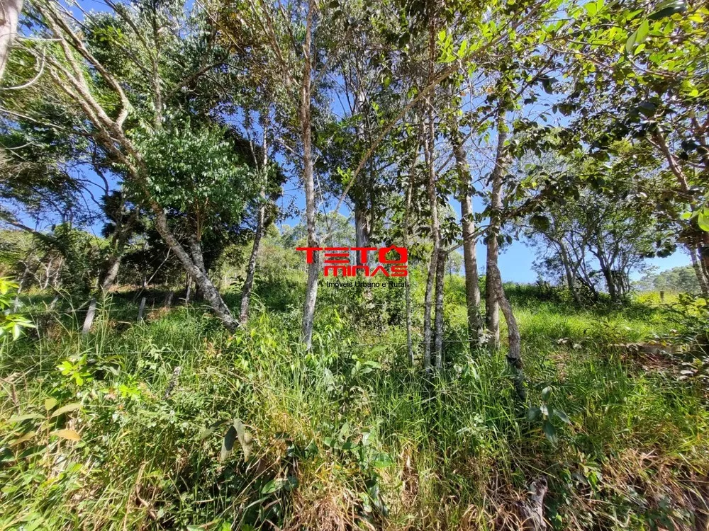 Chácara - Foto 2