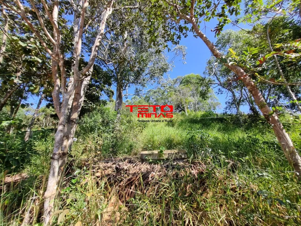 Chácara - Foto 3