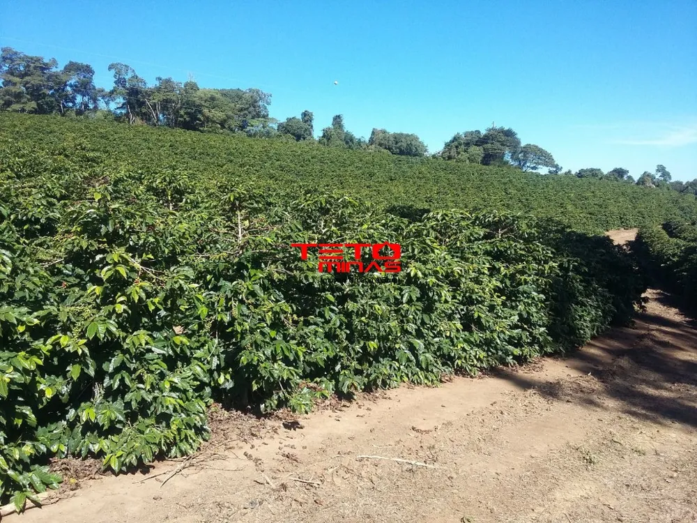 Fazenda - Foto 15