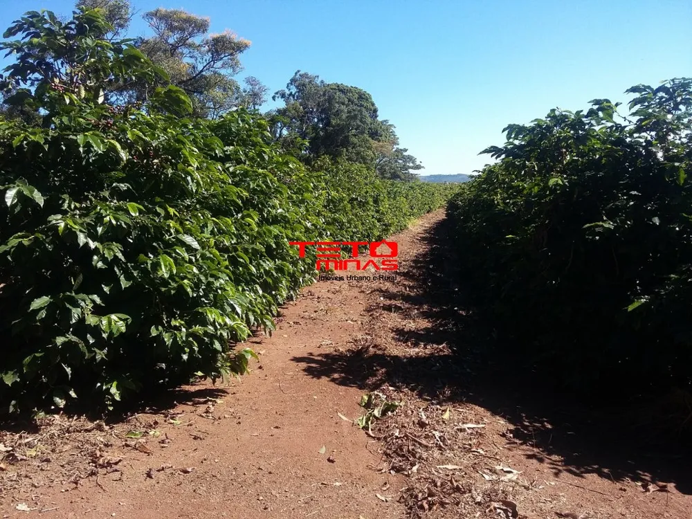 Fazenda - Foto 16