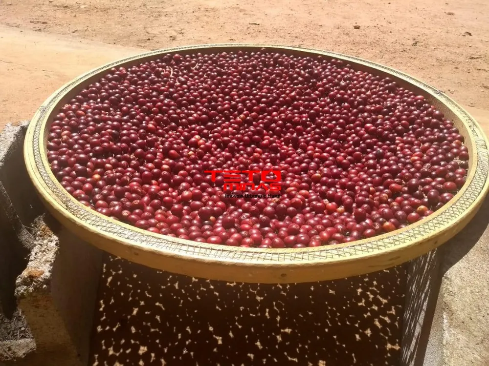 Fazenda - Foto 4