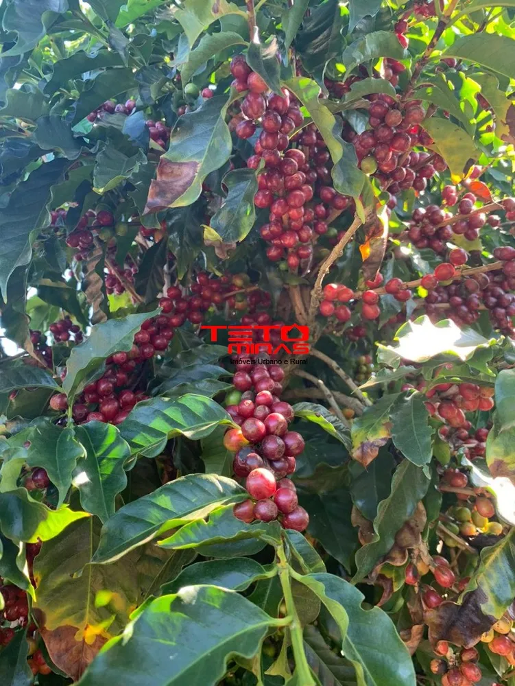 Fazenda - Foto 8
