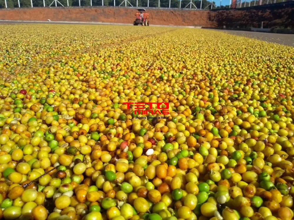 Fazenda - Foto 1