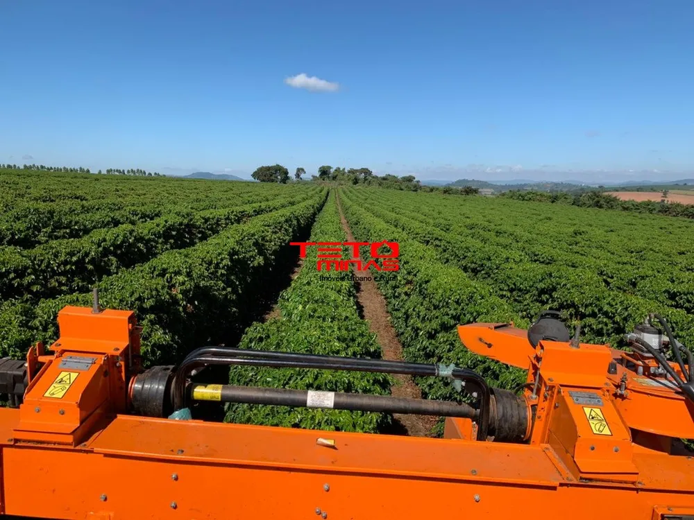 Fazenda - Foto 7