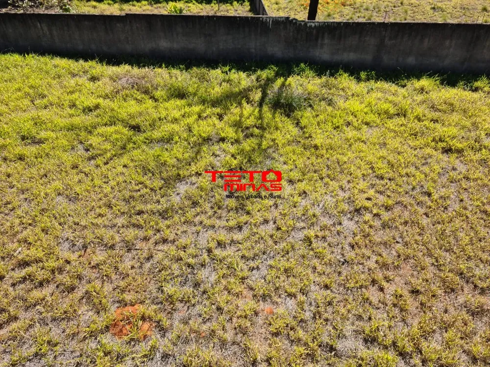 Terreno, 1600 m² - Foto 12