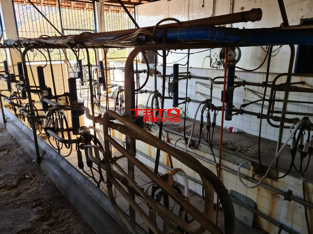 Fazenda - Foto 1